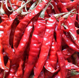 dry-chilli_1